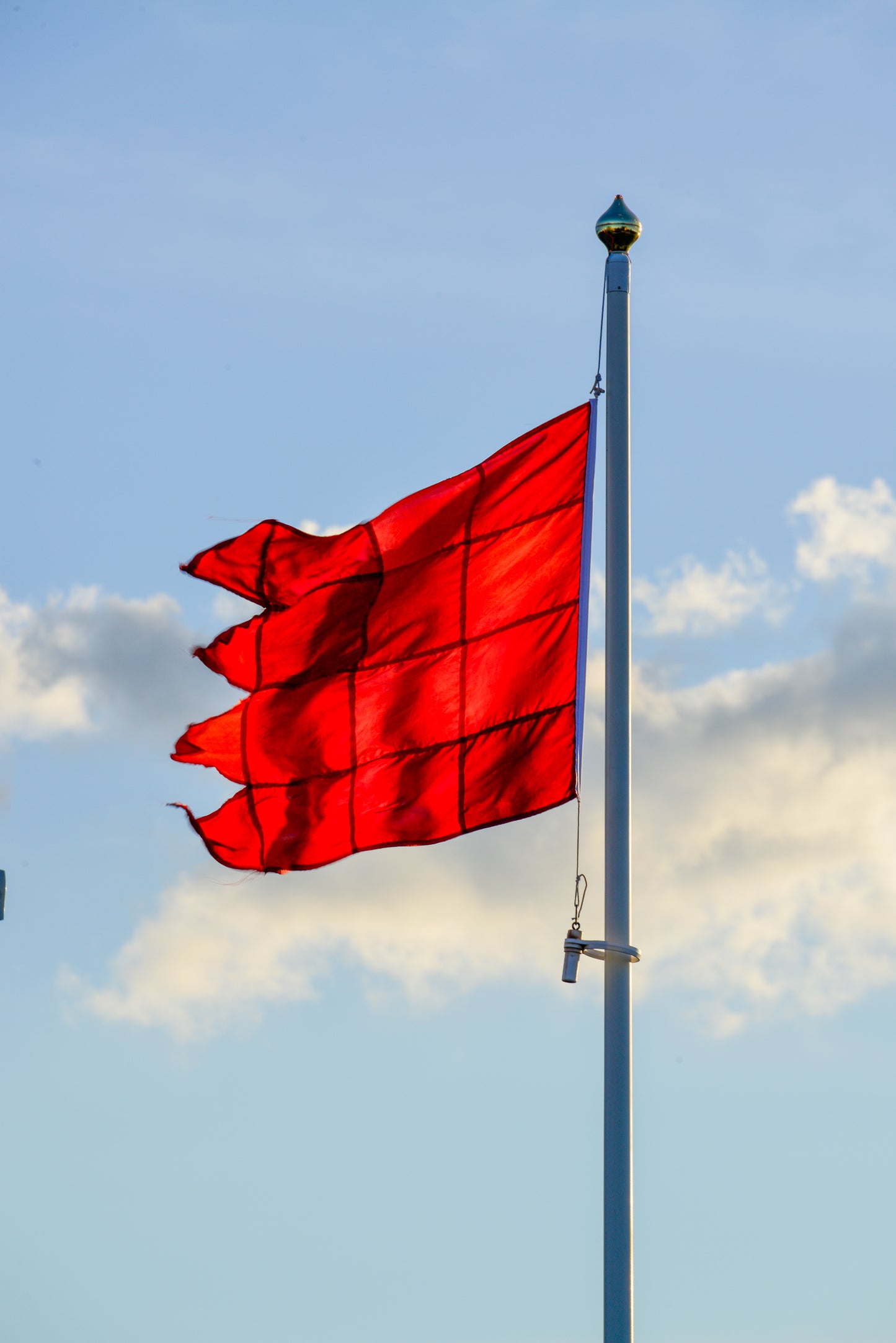Red flag print