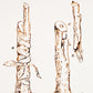 Grafting 01