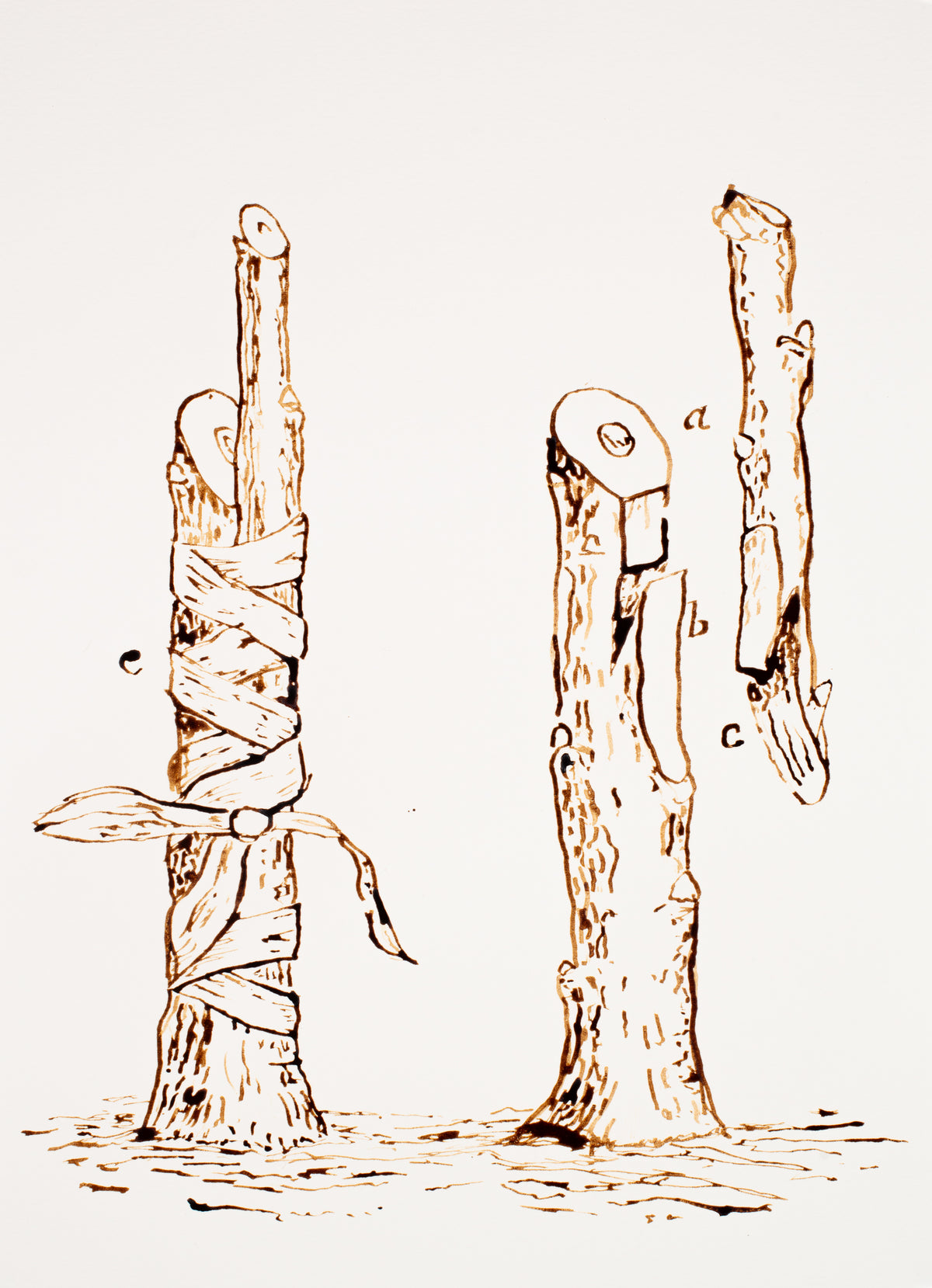 Grafting 01