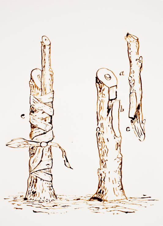 Grafting 01