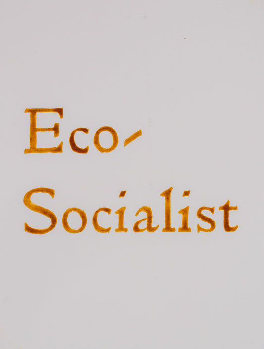 Eco-socialist