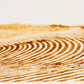 Pivot field