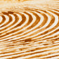 Pivot field